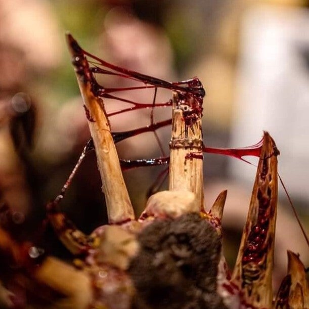 Dirty Down - Gore (for Blood and Guts Effects) 15ml