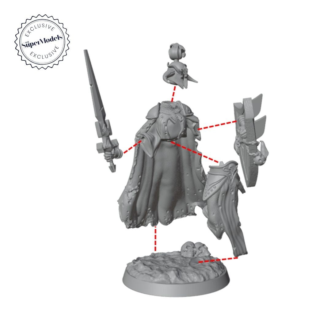 The Days of Valkryx - Witch King