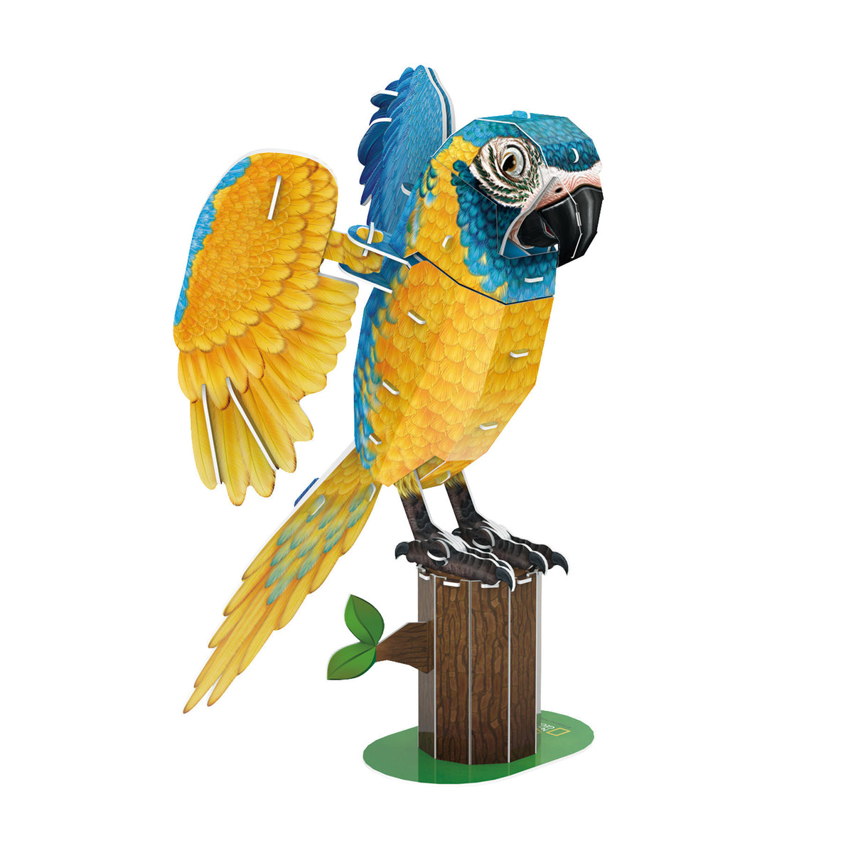 CubicFun Blue-Throated Macaw 3D Puzzle CFDS1097 – built model view 2