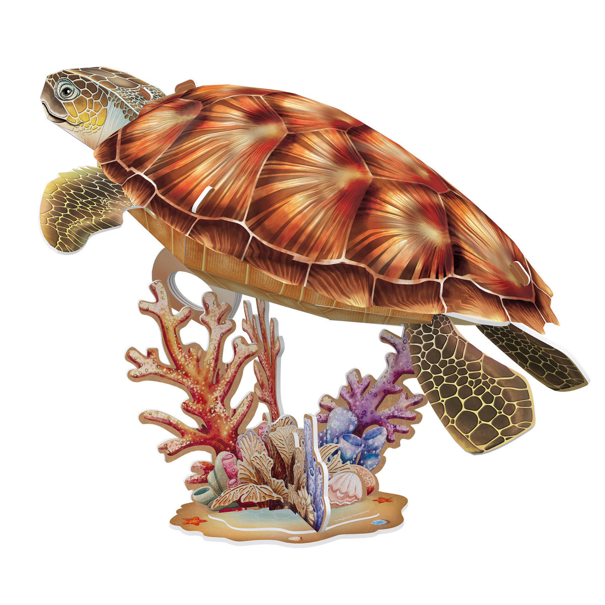 CubicFun Sea Turtle 3D Puzzle CFDS1080 – built model view 2