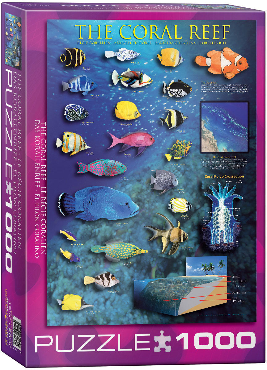 Eurographics Coral Reef EG60001170 – box
