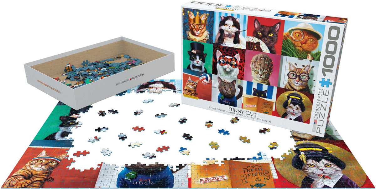 Eurographics Funny Cats EG60005522 – lifestyle