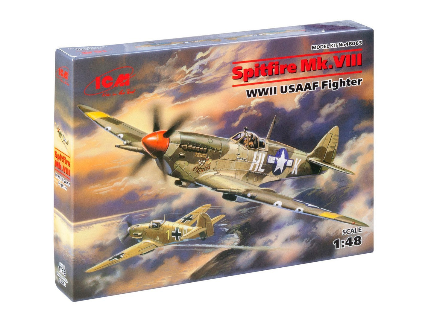 ICM48065