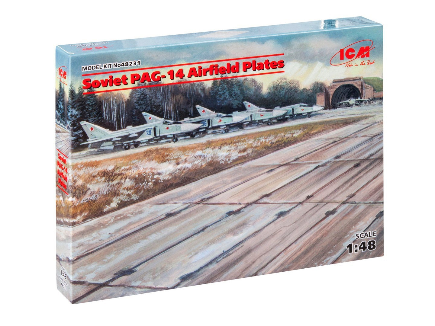 ICM48231