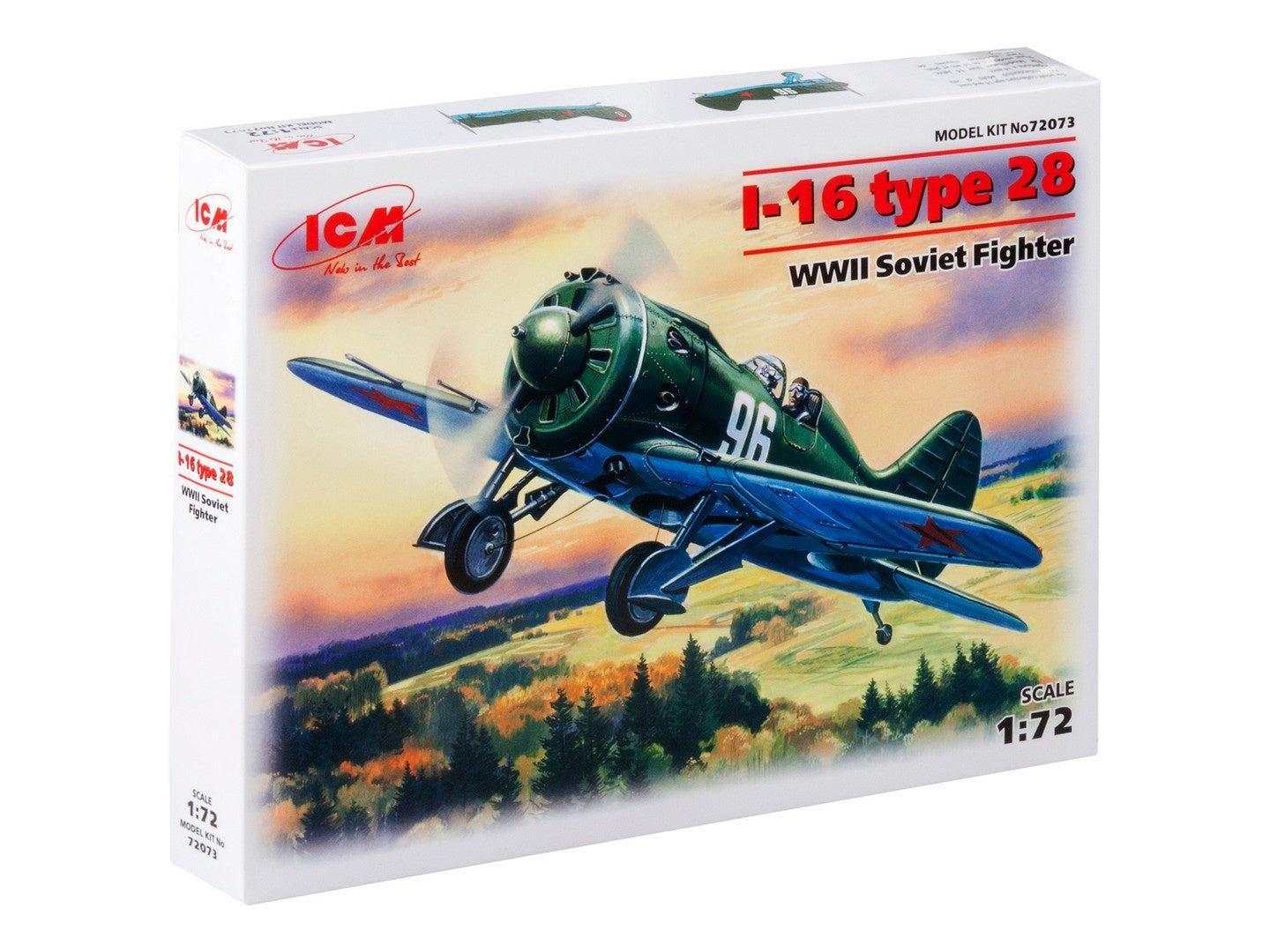 ICM72073
