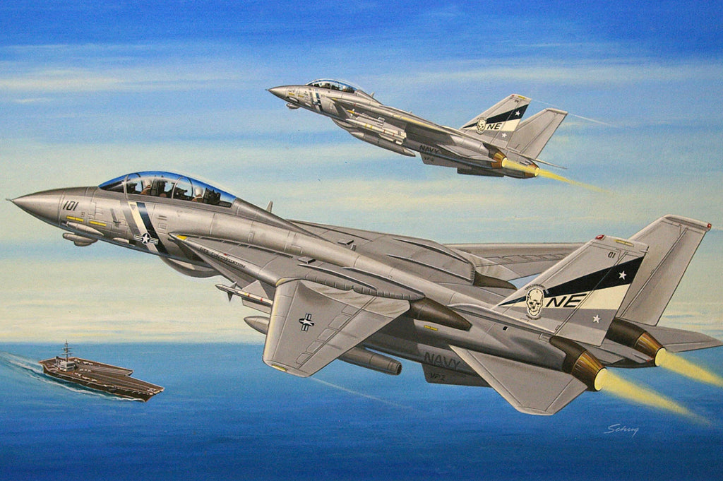 Hobby Boss 1/72 Grumman F-14D Super Tomcat model kit 80278, box art