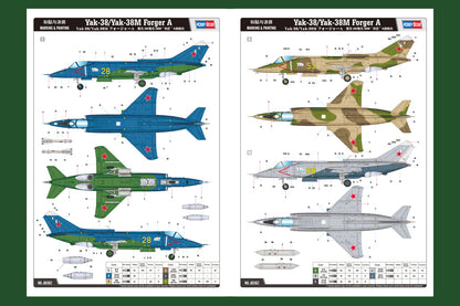 Hobby Boss 1/48 Yakovlev Yak-38 / Yak-38M Forger A model kit 80362, image 4