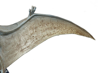 Tamiya Dinosaurs - Pteranodon 1/35 60204