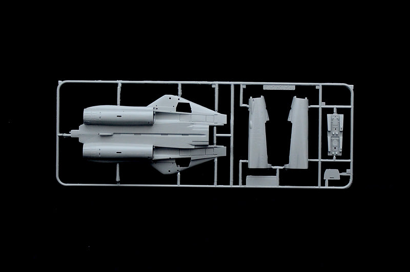 1/72 Italeri - F-14A Tomcat (50th First Flight Anniversary)