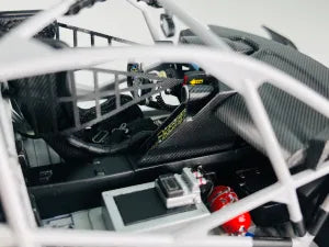 NUNU 1/24 Cars - Audi R8 Lms Evo 24Hnurburgring 2019 Winner - NU24026
