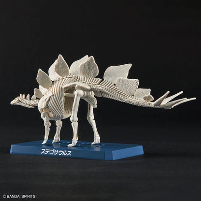 Bandai "Plannosaurus" Dinosaur Model Kits: Stegosaurus