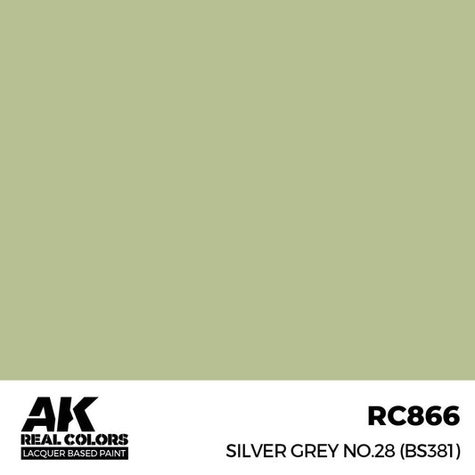 RC866 - AK Real Colors - Silver Grey No.28 (BS381)