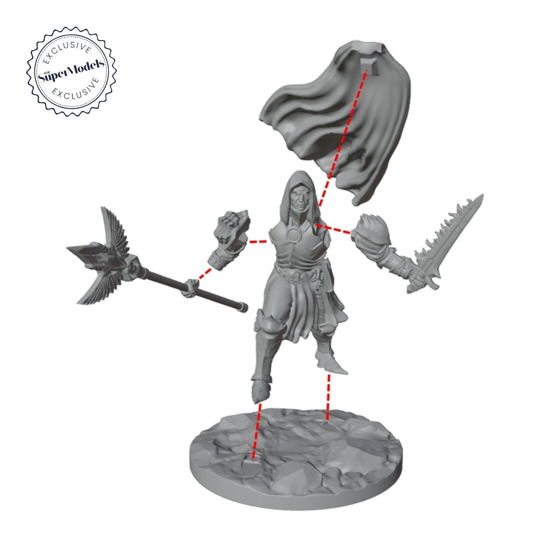 The Days of Valkryx - Wulfgeldre Warrior Wizard