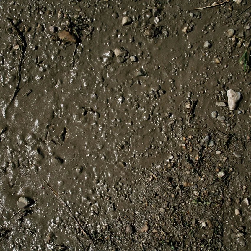 AK Interactive - Acrylic Terrains Wet Ground 250ml - Product Image