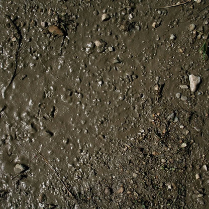 AK Interactive - Acrylic Terrains Wet Ground 250ml - Product Image