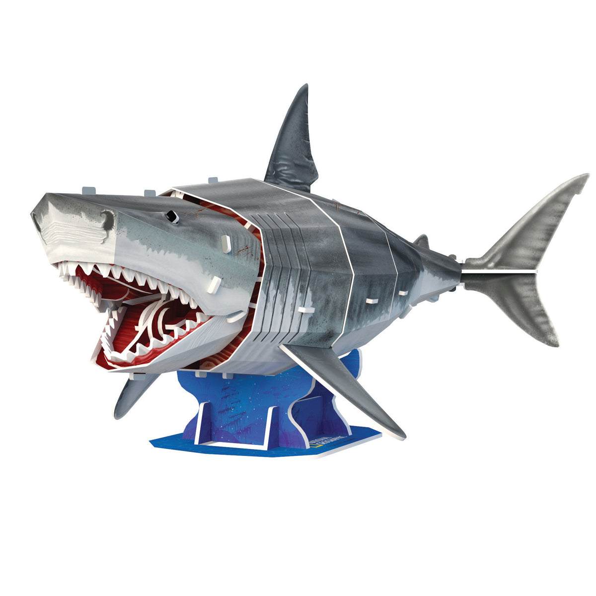 CubicFun Great White Shark 3D Puzzle CFDS1098 – built model view 2