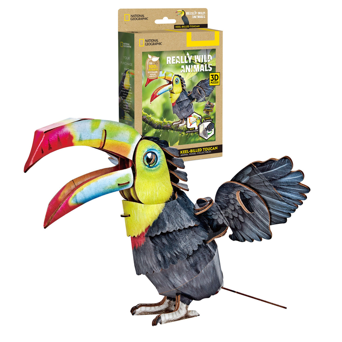 CubicFun Keel-Billed Toucan 3D Puzzle CFDS1187 – box and built model