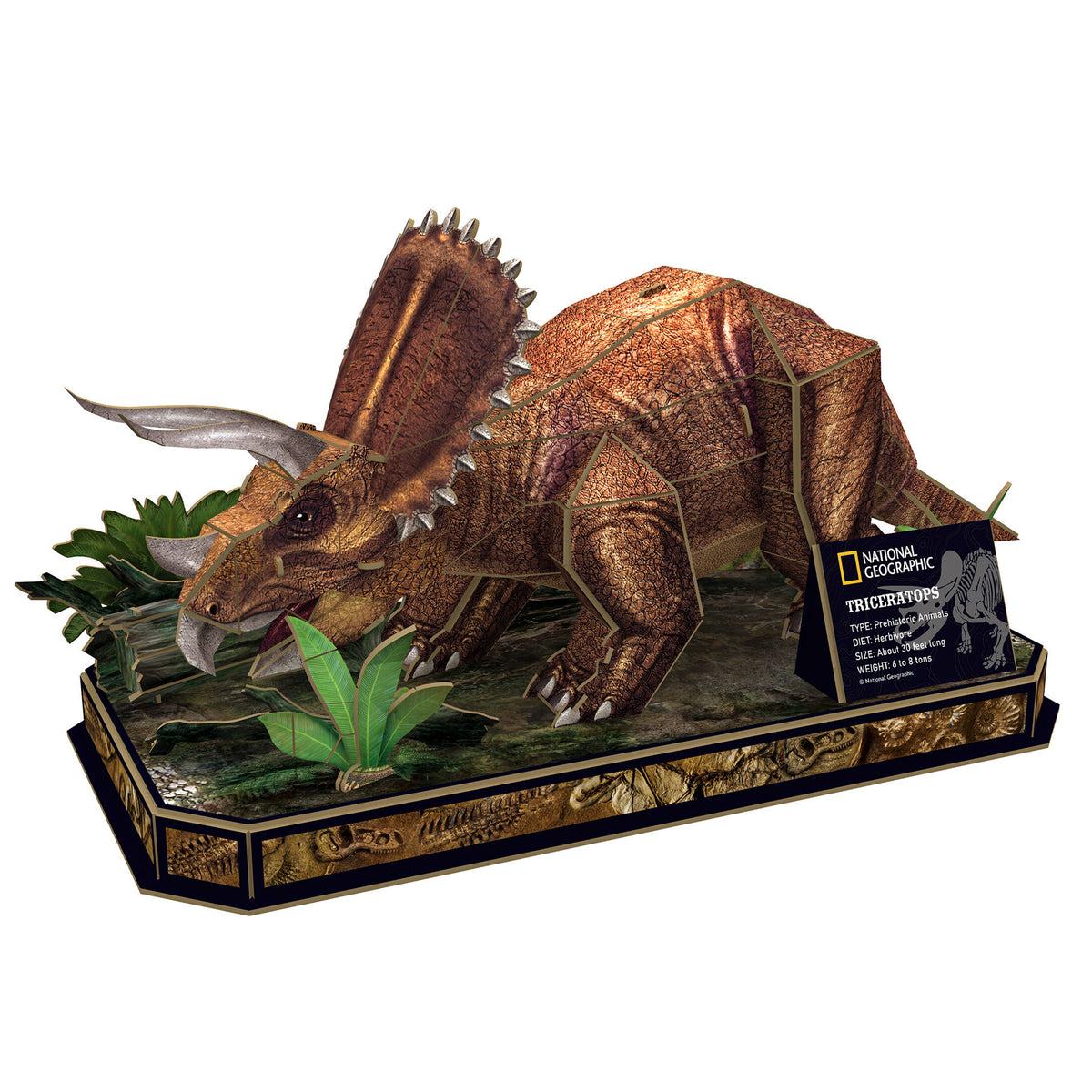 CubicFun Triceratops 3D Puzzle CFDS1052 – built model view 2