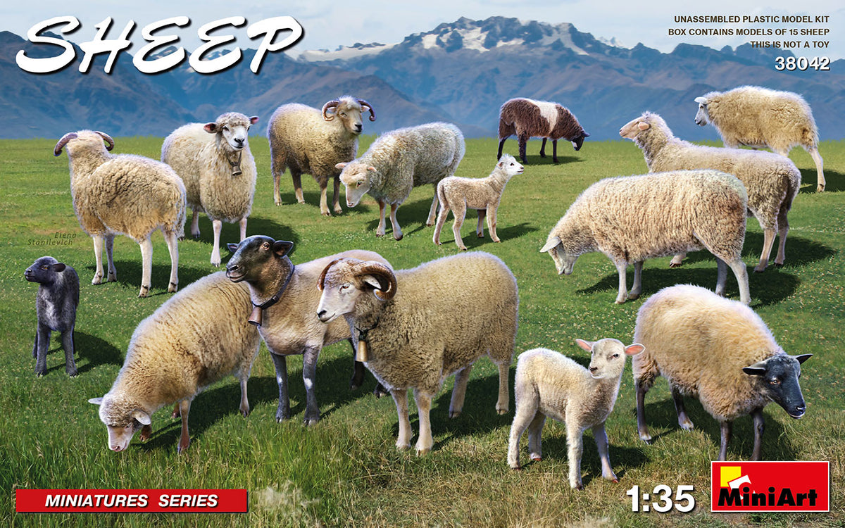 MiniArt Sheep - 38042 box art