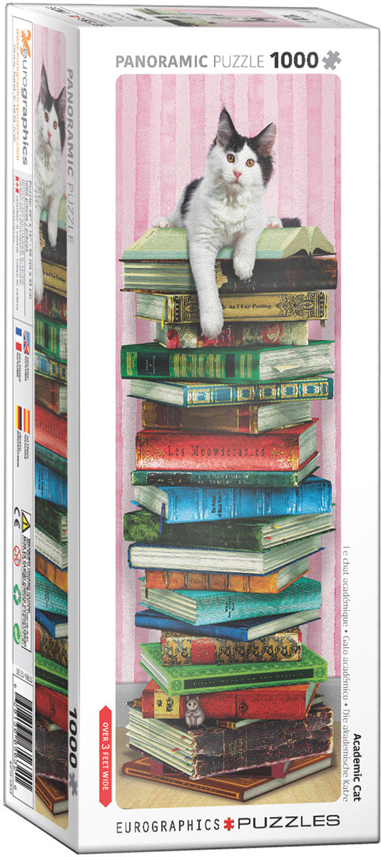 Eurographics Academic Cat EG60105632 – box