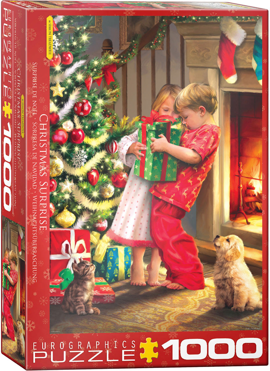 Eurographics Christmas Surprise EG60005640 – box
