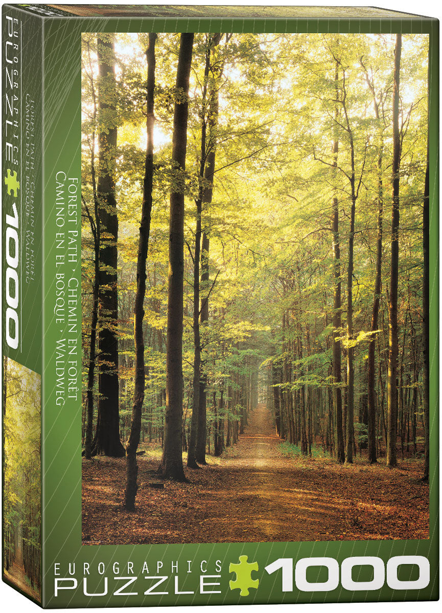 Eurographics Forest Path EG60003846 – box