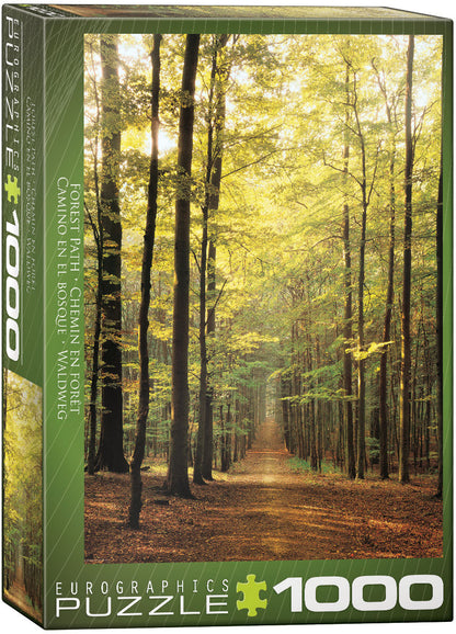 Eurographics Forest Path EG60003846 – box