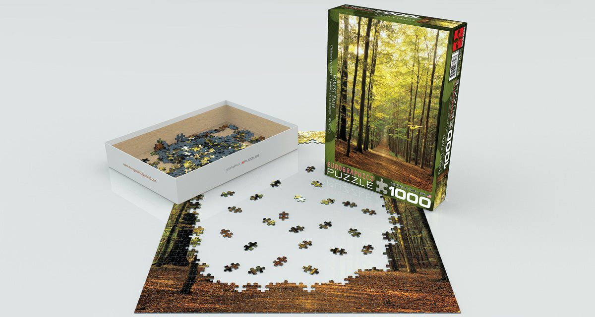 Eurographics Forest Path EG60003846 – lifestyle