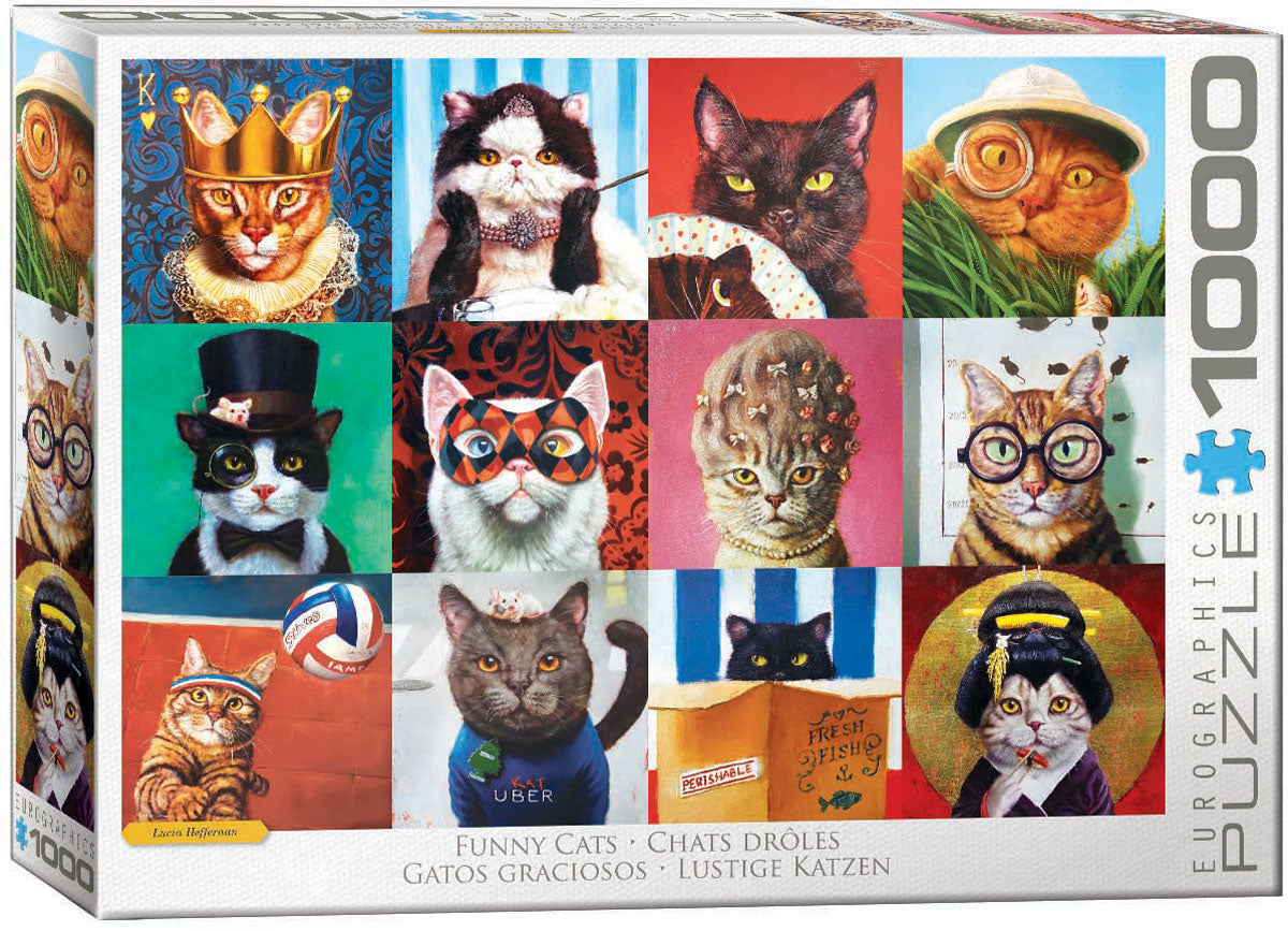 Eurographics Funny Cats EG60005522 – box