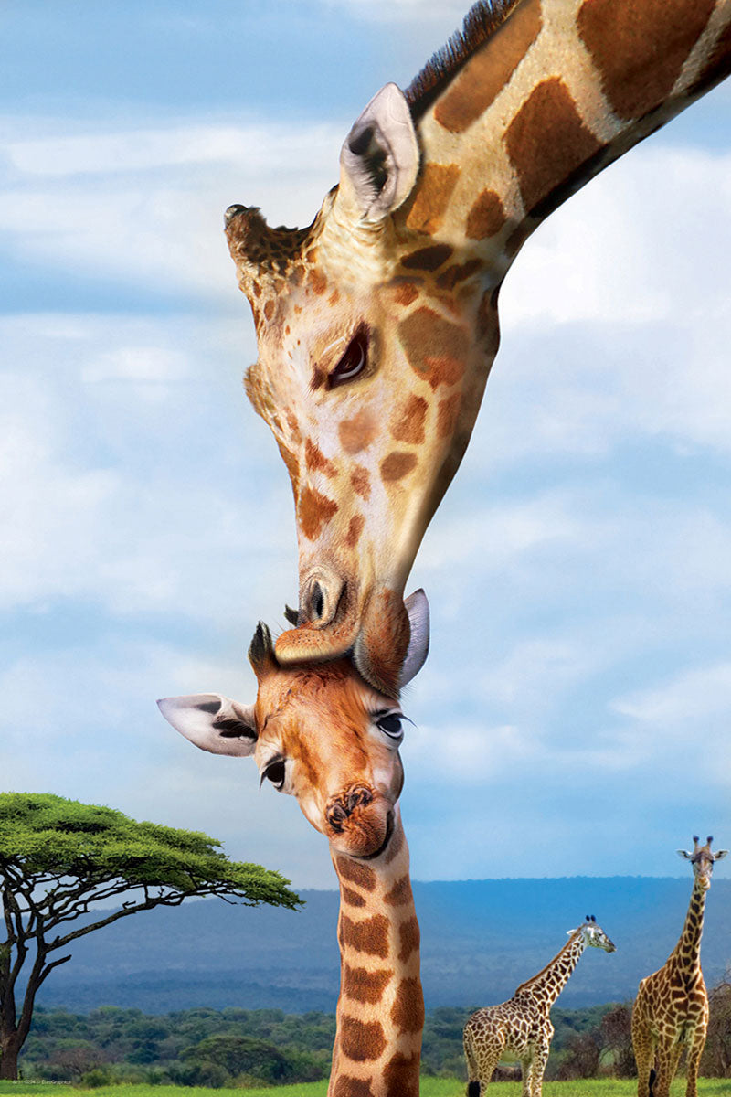 Eurographics Giraffes EG82510294 – detail 2