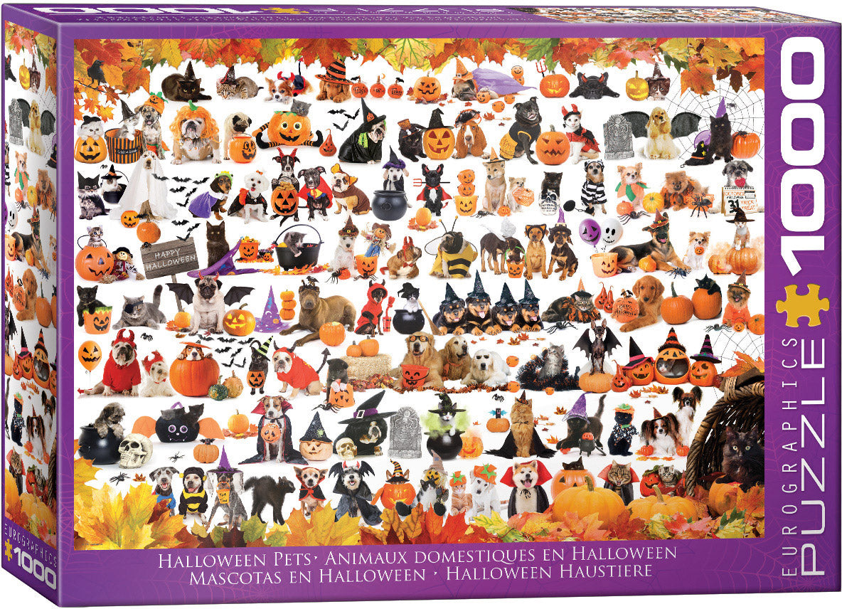 Eurographics Halloween Pets EG60005416 – box
