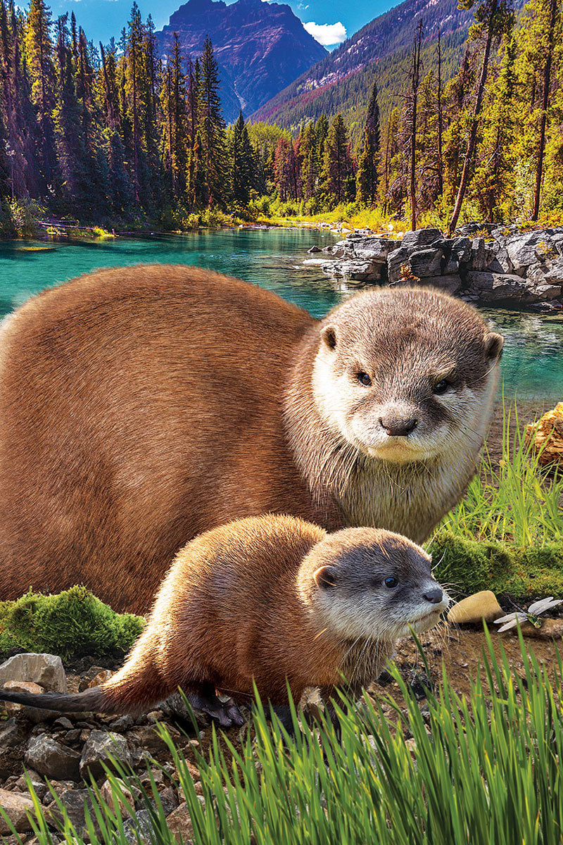Eurographics Otters EG82515558 – detail 2