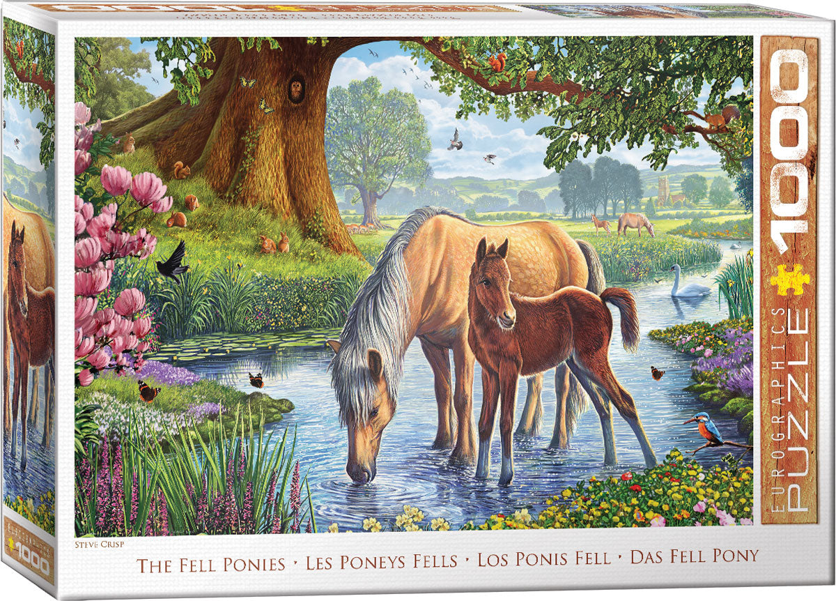 Eurographics The Fell Ponies EG60000976 – box