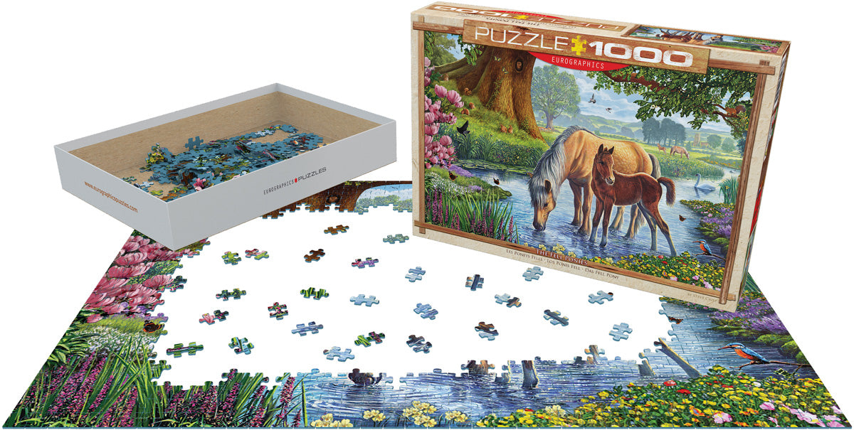 Eurographics The Fell Ponies EG60000976 – lifestyle