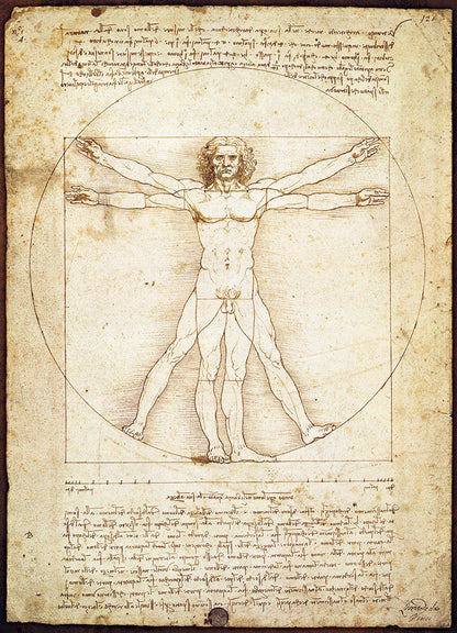 Eurographics The Vitruvian Man EG60005098 – puzzle image