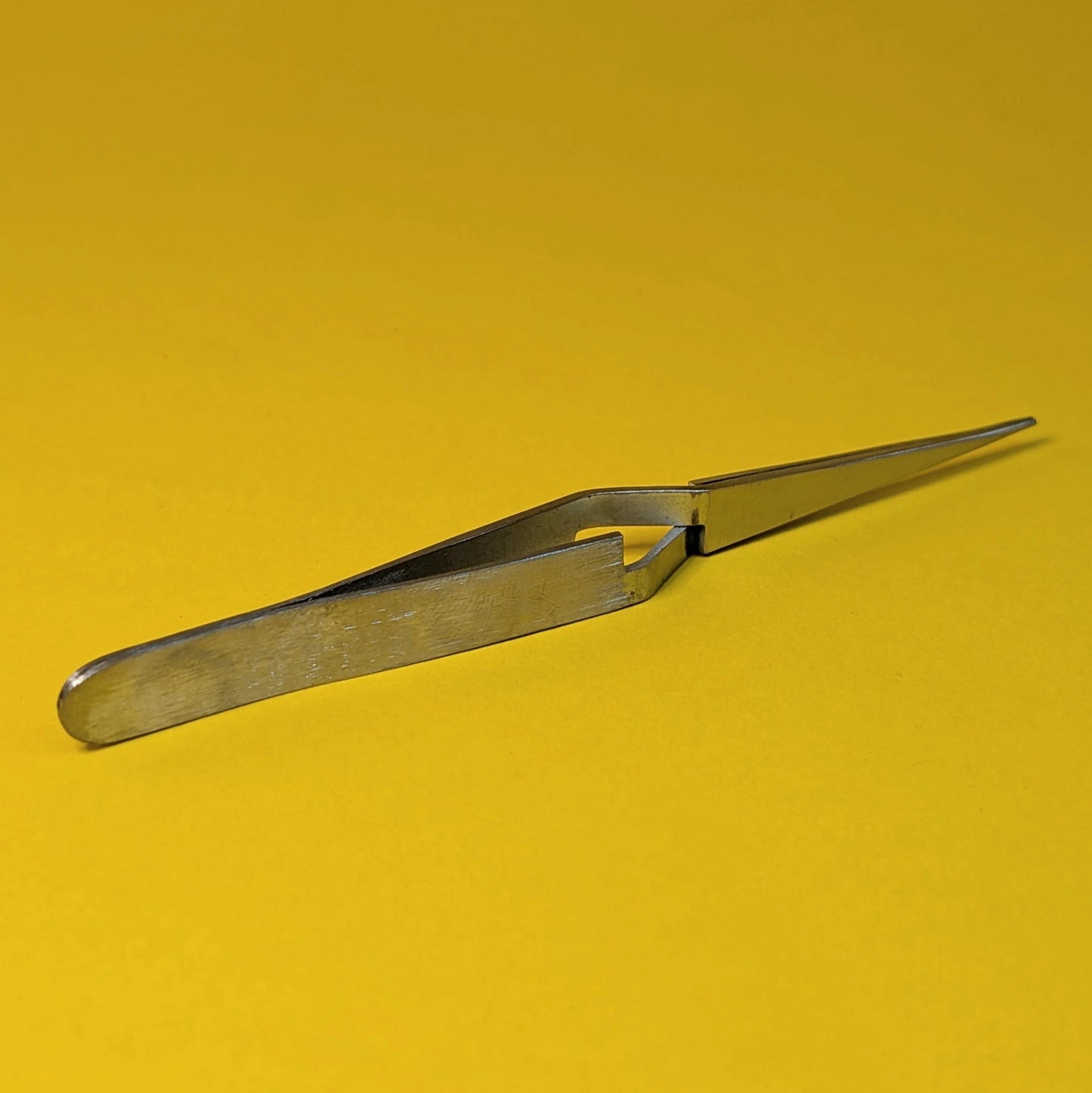 Expo - Straight X-lock Tweezers - Product Image