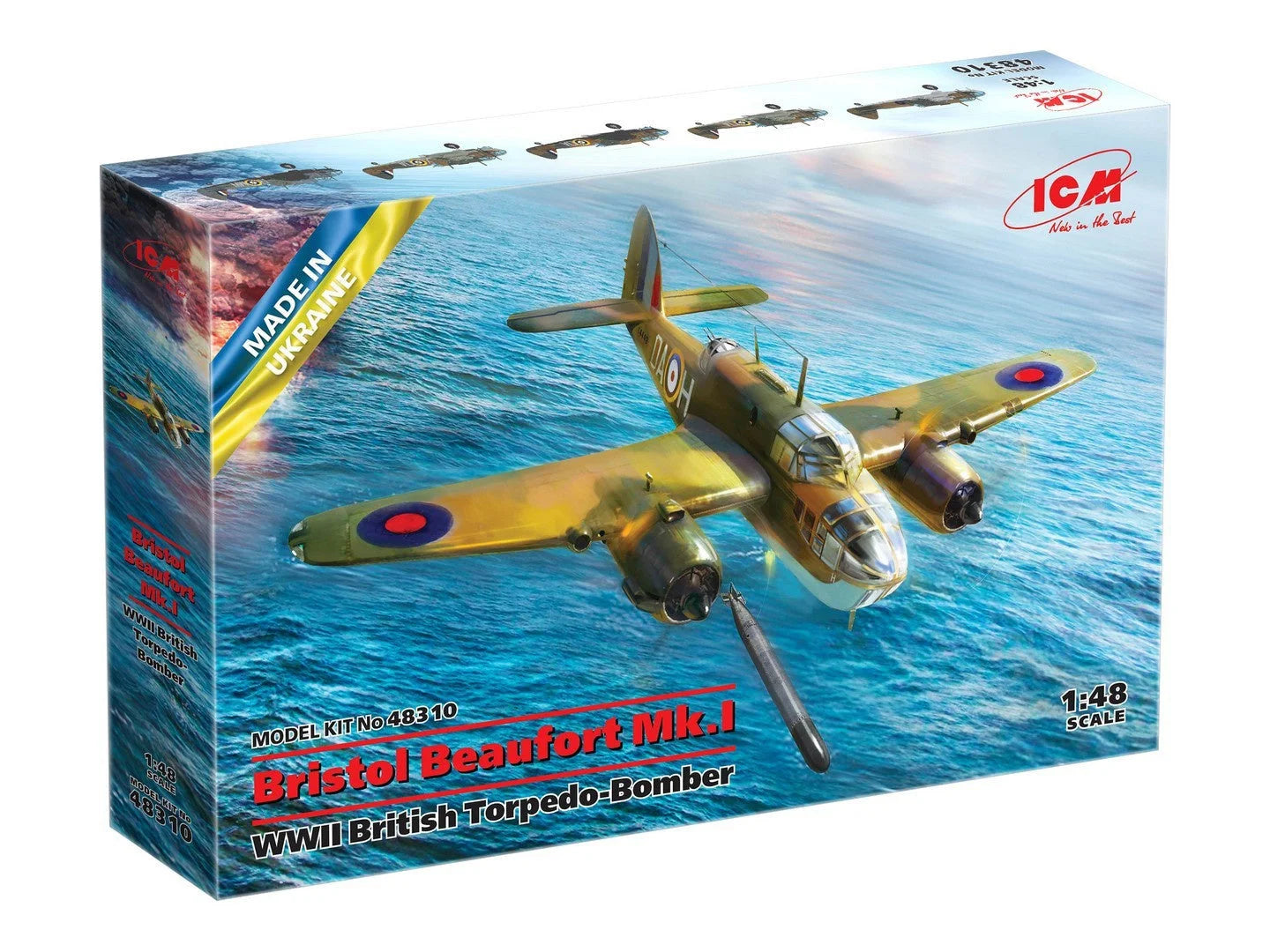ICM48310