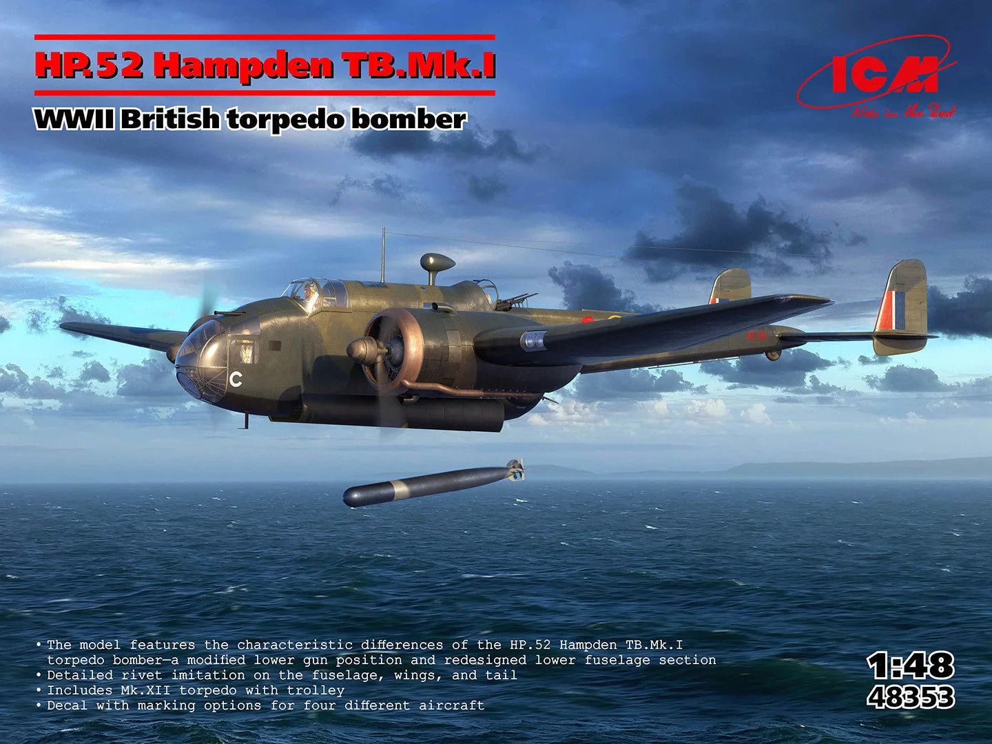 ICM48353