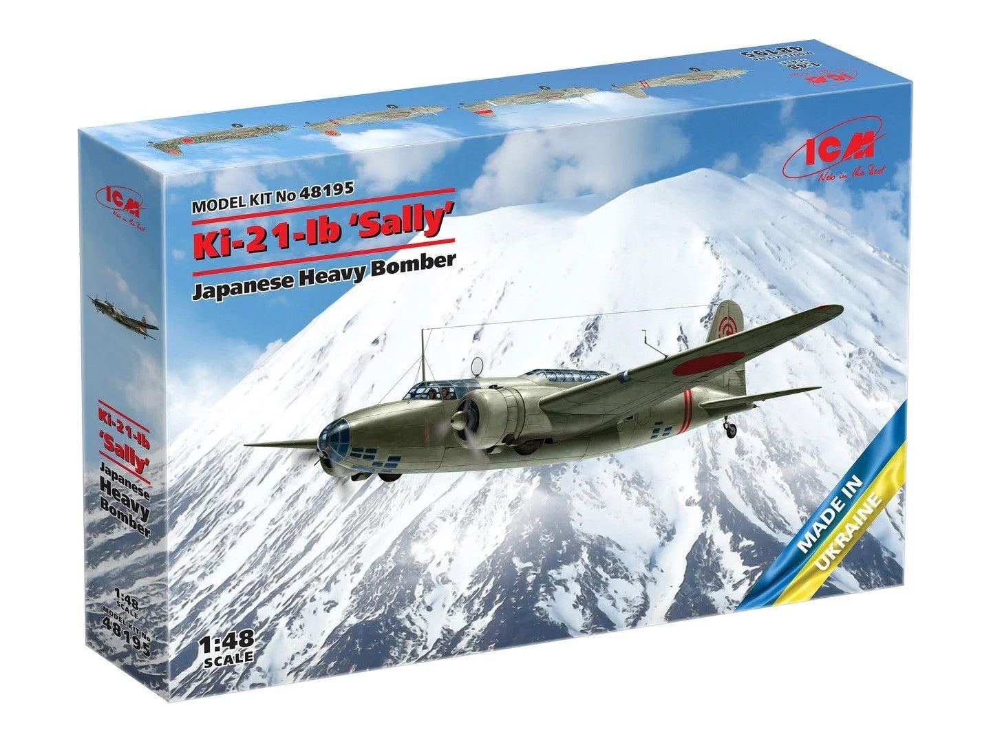 ICM48195