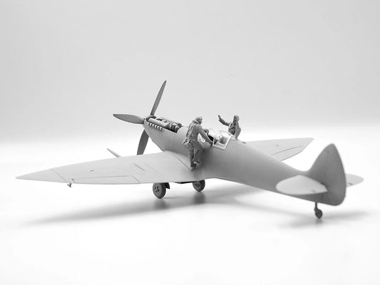 ICMDS4802