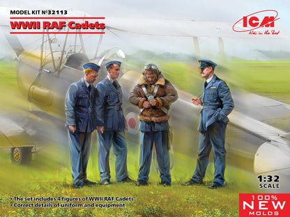 ICM32113