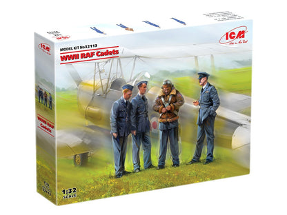 ICM32113