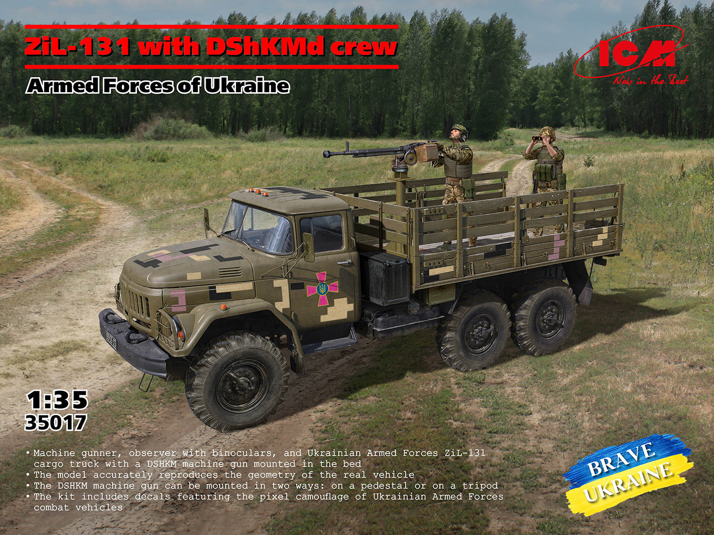 ICM35017