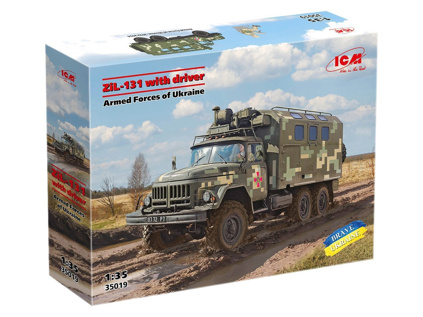 ICM35019