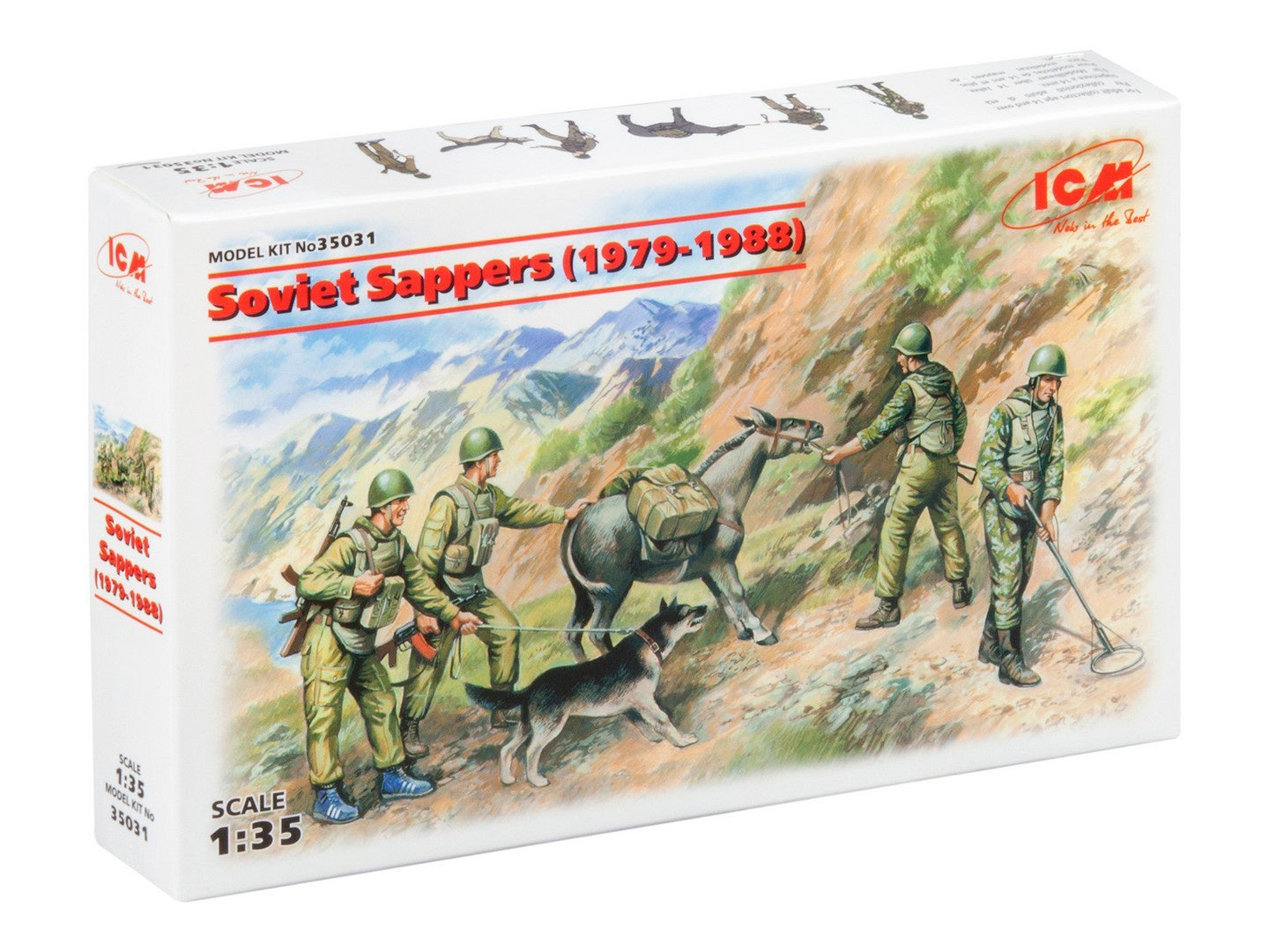 ICM35031