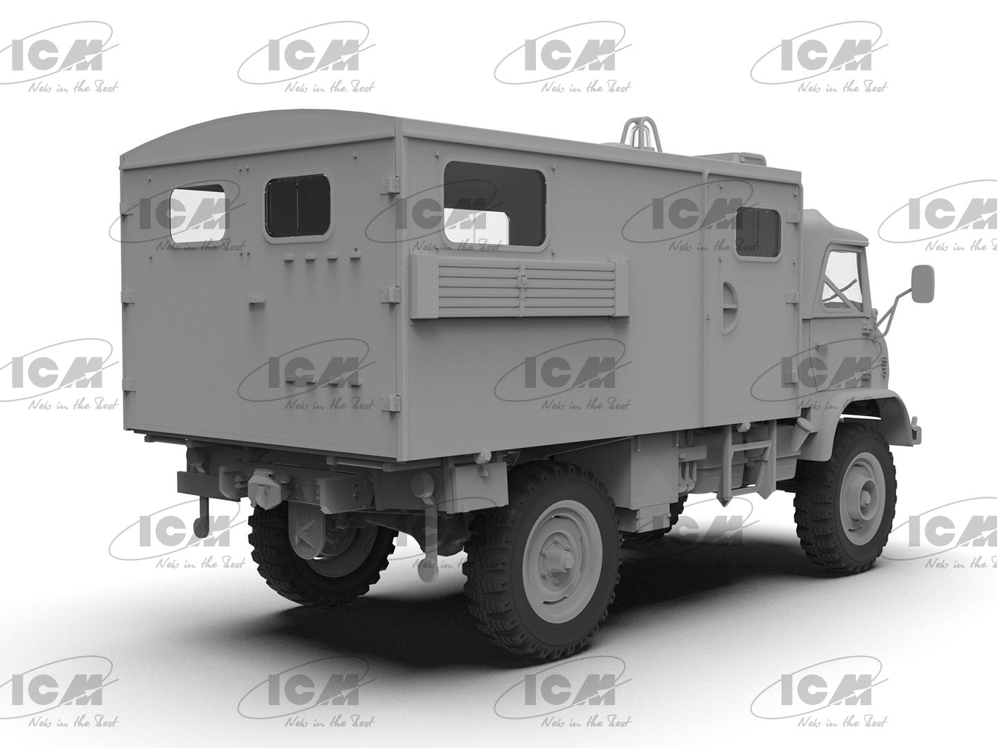 ICM35138