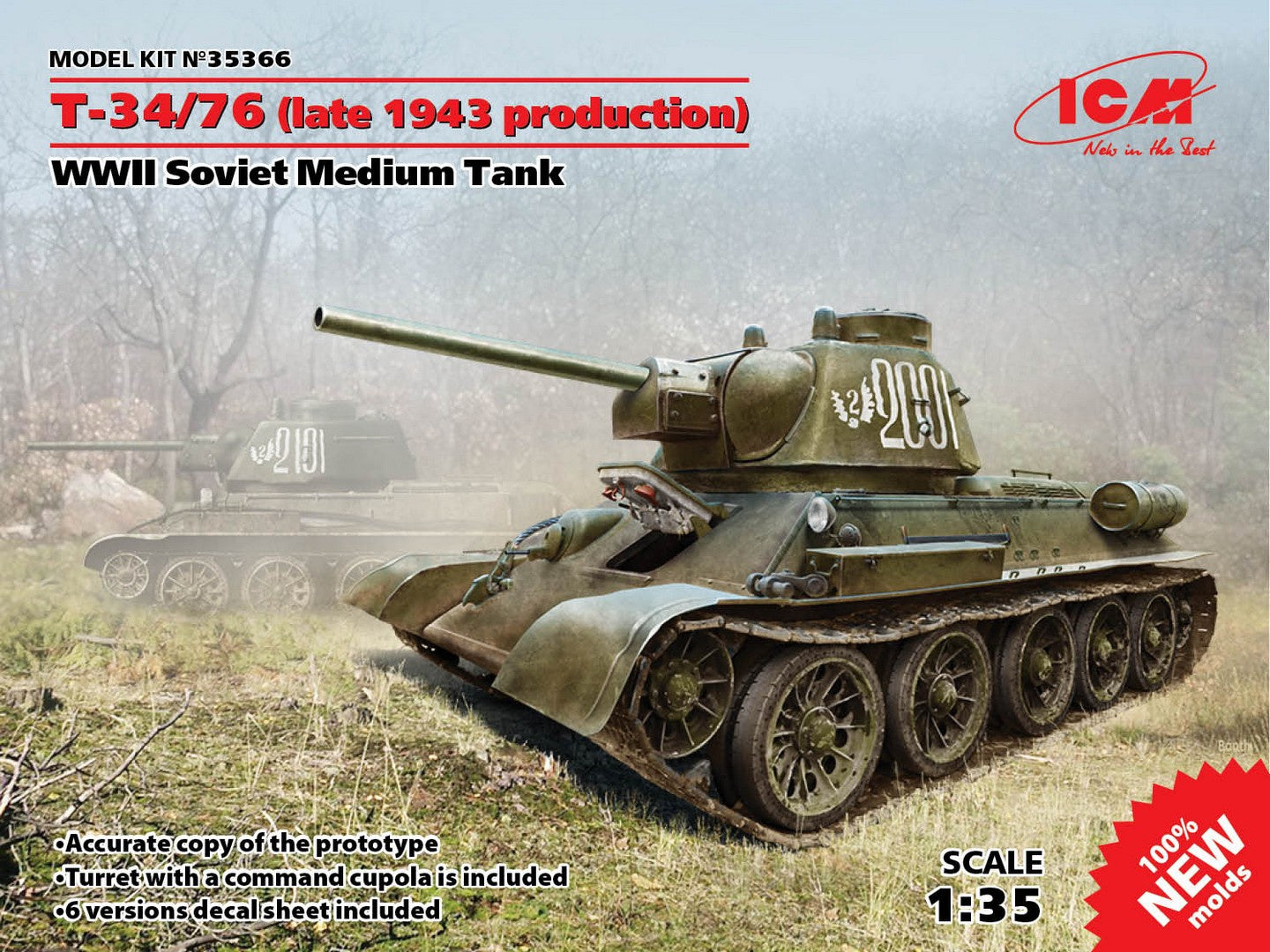 ICM35366
