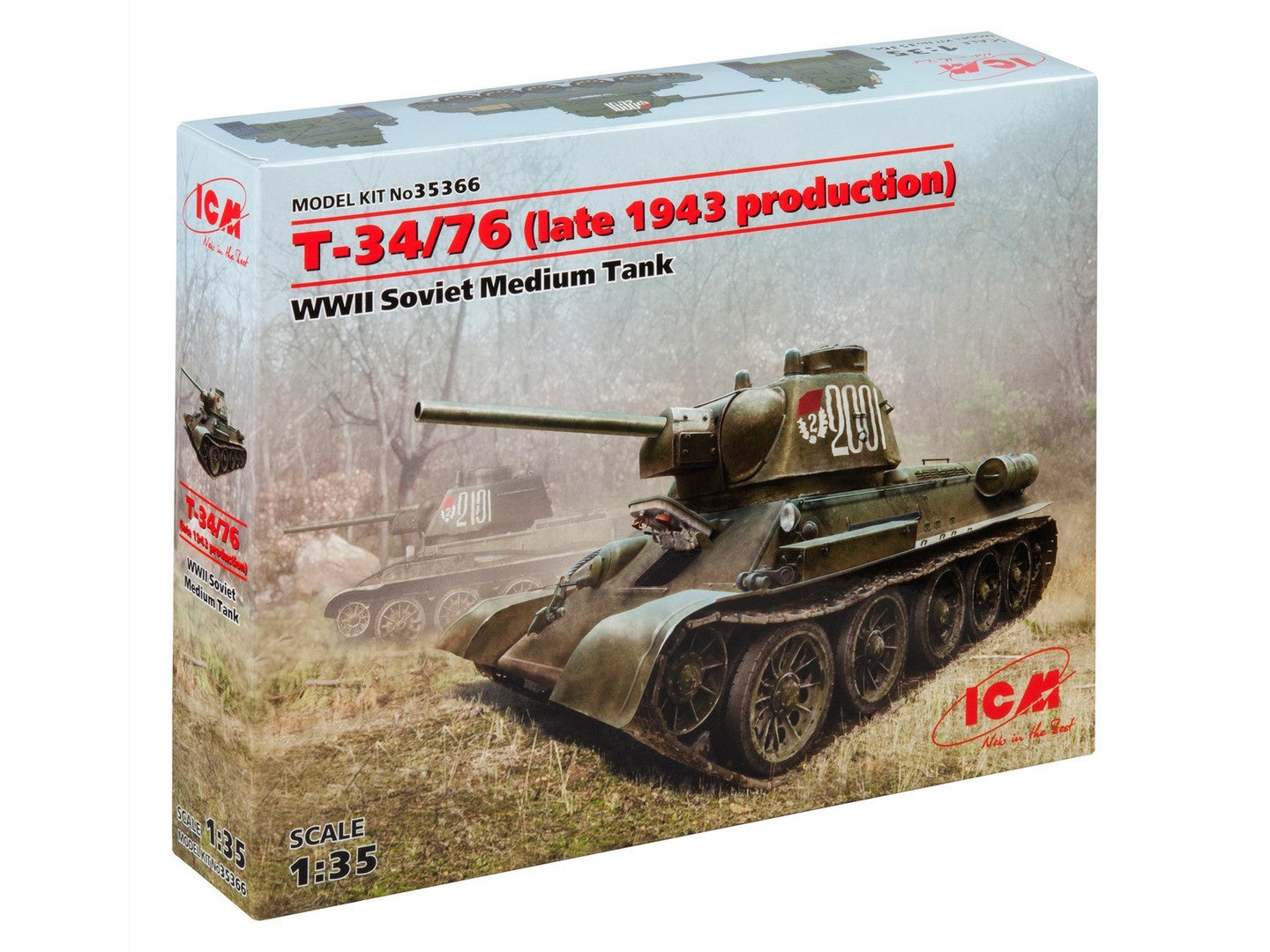 ICM35366