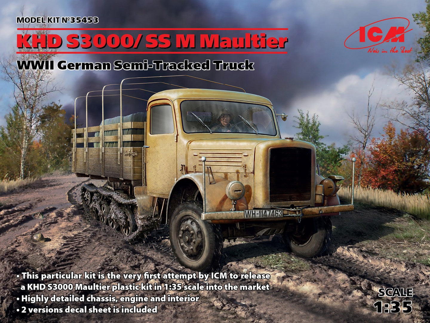 ICM35453