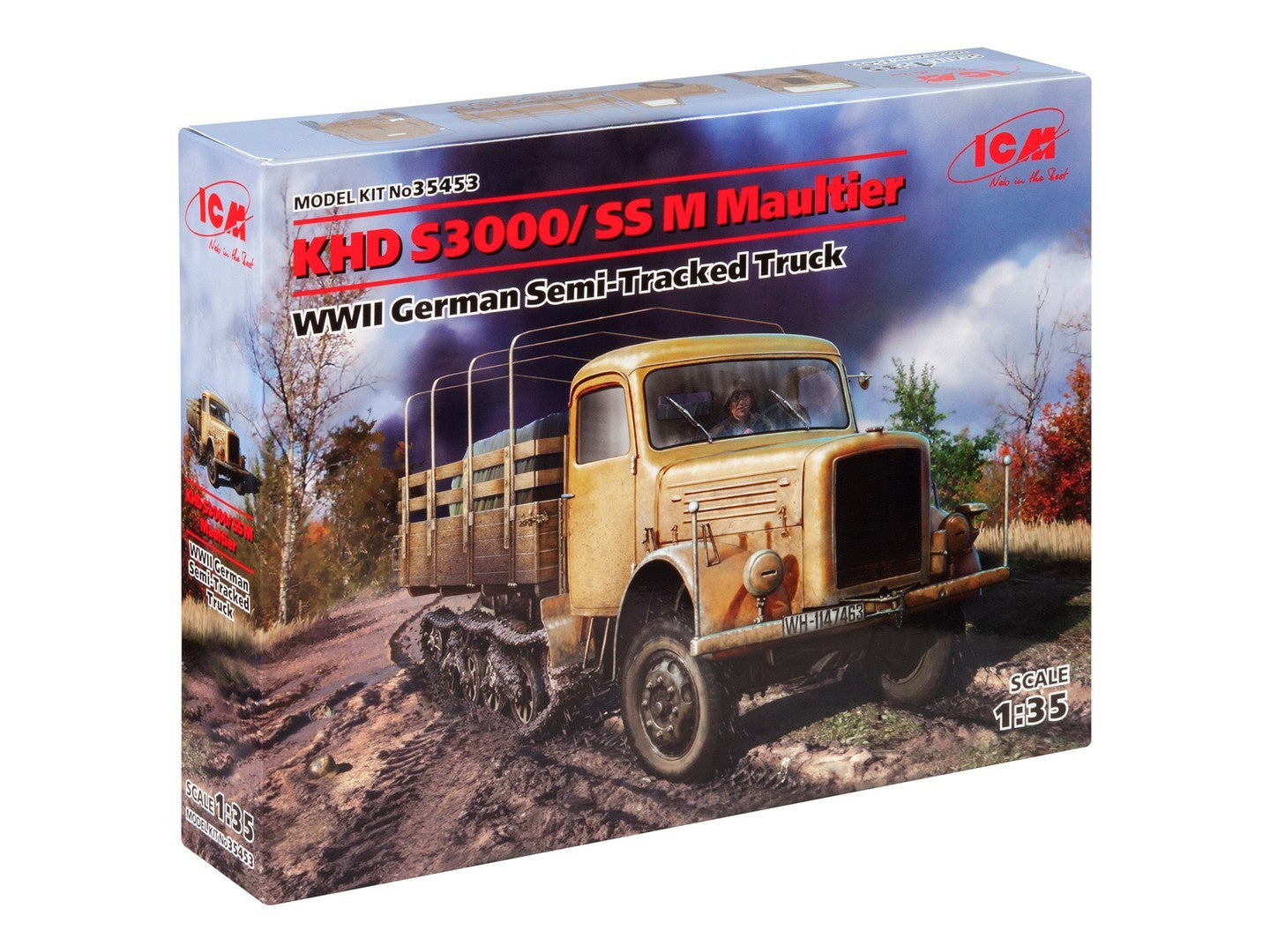 ICM35453